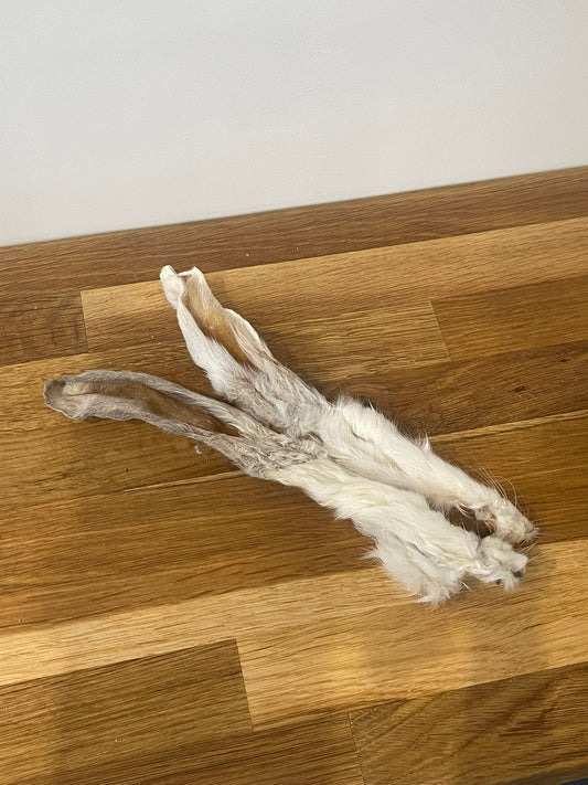 Furry Rabbit Ears