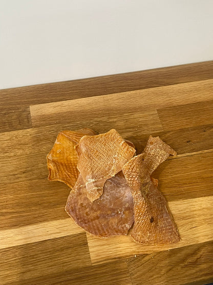 Squid Slices